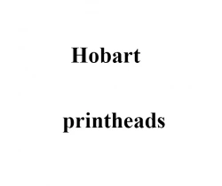 Печатающая головка принтера Hobart 00-256323, 00-184271,  dpi