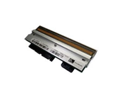 Zebra P1014112, Печатающая головка для принтера TTP2000