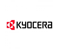 Печатающая головка Kyocera KCE-53-12MPTI, 300 dpi