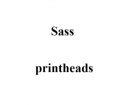 Печатающая головка принтера Sass identjet DT-8, 200 dpi