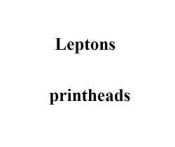 Печатающая головка принтера Leptons DSP 500, DSP 862, DSP 900, 190 dpi