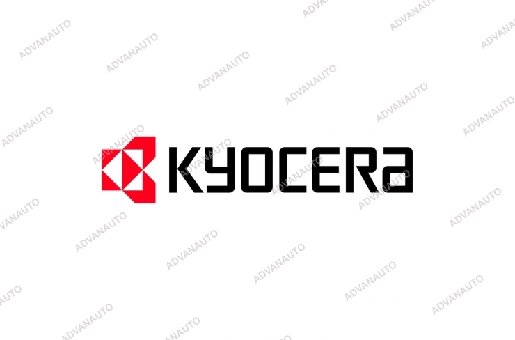 Печатающая головка Kyocera KCE-107-12PAT2-AC1, 300 dpi фото 1