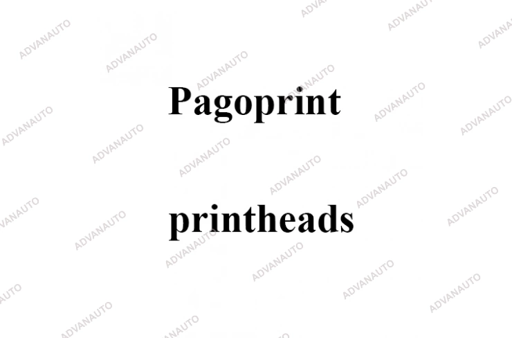 Печатающая головка принтера Pagoprint 45/104T, 300 dpi фото 1