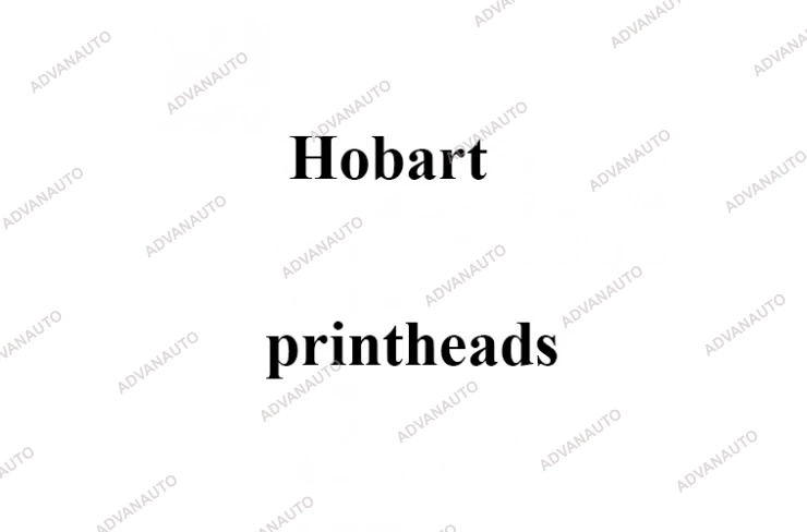 Печатающая головка принтера Hobart 00-256323, 00-184271,  dpi фото 1