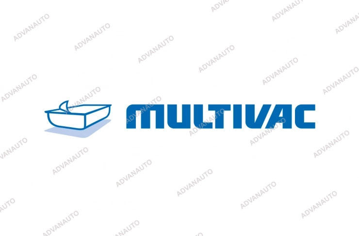 Печатающая головка принтера Multivac TTO 10, 300 dpi фото 1