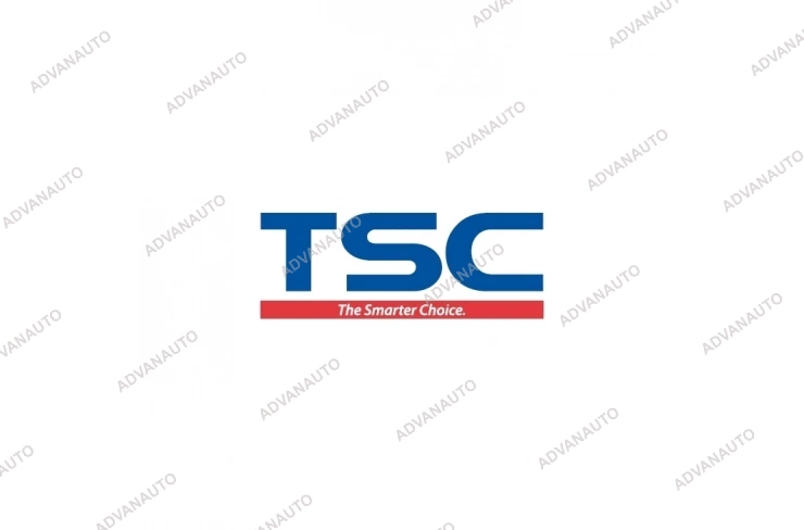 Печатающая головка TSC DA310, DA320, DA300 (98-0580005-10LF), 300 dpi фото 1
