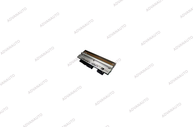 Zebra P1014112, Печатающая головка для принтера TTP2000 фото 1