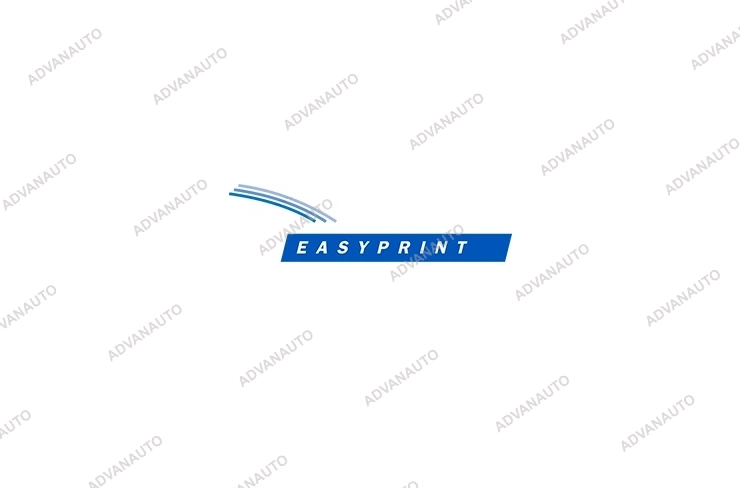 Печатающая головка принтера Easyprint (Domino) V300+,V400, CM5 (communicator V), TM5-350, TM5-440, TM5-580, IM5, 300 dpi фото 1
