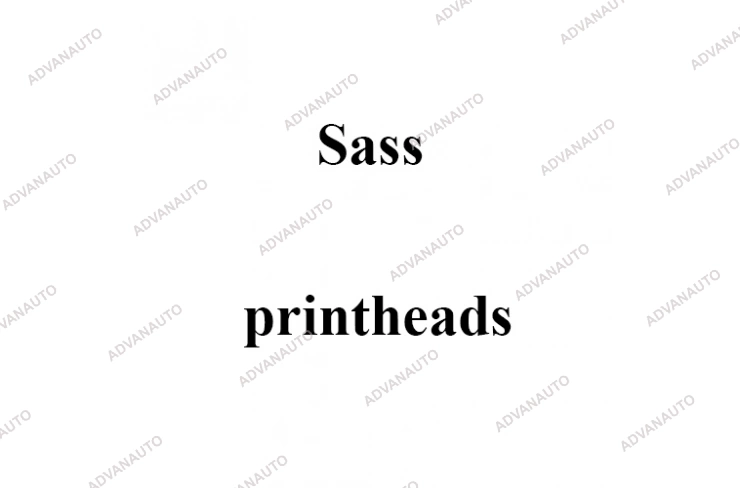 Печатающая головка принтера Sass identjet M4-2, 200 dpi фото 1