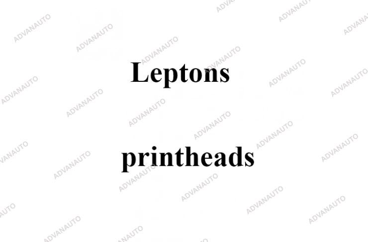 Печатающая головка принтера Leptons DSP 500, DSP 862, DSP 900, 190 dpi фото 1