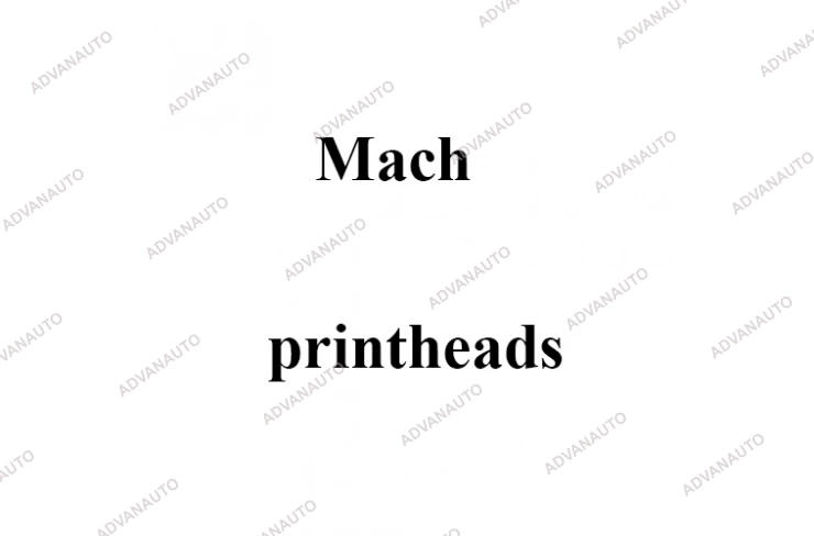 Печатающая головка принтера Mach 4000, 200 dpi фото 1