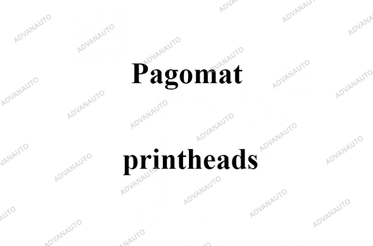Печатающая головка принтера Pagomat 10/168E, 200 dpi фото 1