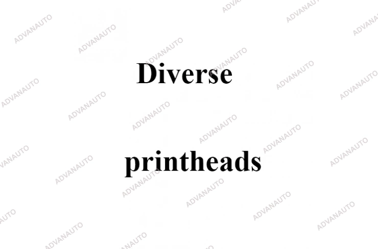 Печатающая головка принтера Diverse Combina 375 II, Combina 381, Combina 400, 300 dpi фото 1