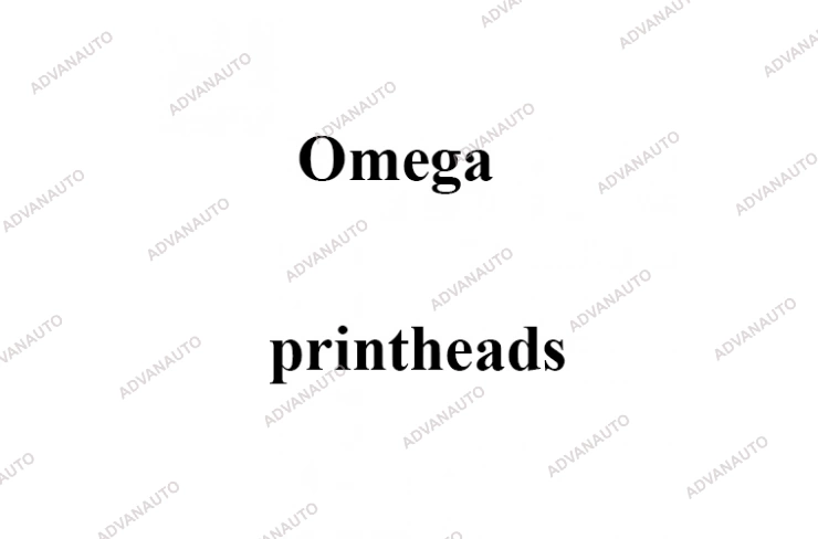 Печатающая головка принтера Omega POKER, Twin New, Vbr New, 200 dpi фото 1