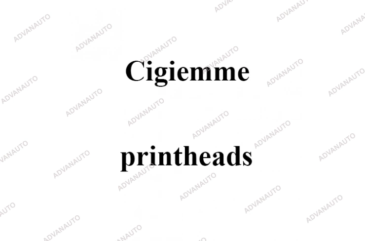 Печатающая головка принтера Cigiemme Ovar серия, 190 dpi фото 1