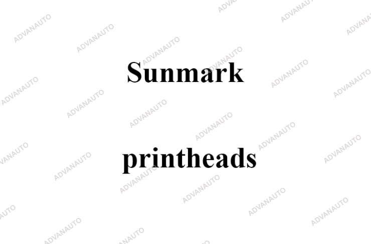 Печатающая головка принтера Sunmark SLX, S500, 300 dpi фото 1