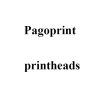 Печатающая головка принтера Pagoprint 45/104T, 300 dpi фото 1