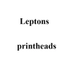 Печатающая головка принтера Leptons ST302, 200 dpi фото 1