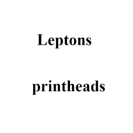 Печатающая головка принтера Leptons DSP 500, DSP 862, DSP 900, 190 dpi