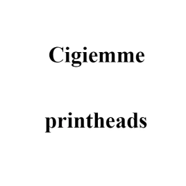 Печатающая головка принтера Cigiemme Ovar серия, 190 dpi