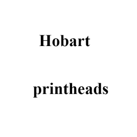 Печатающая головка принтера Hobart 00-049844, 00-184363,  dpi