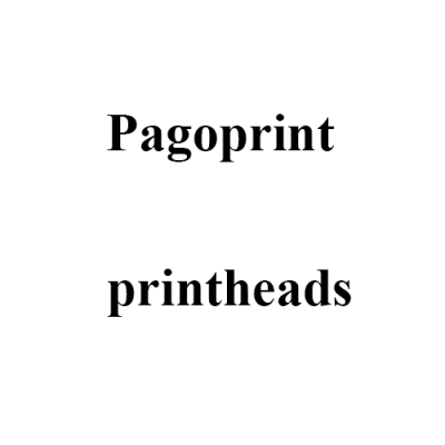 Печатающая головка принтера Pagoprint 45/104T, 300 dpi фото 1