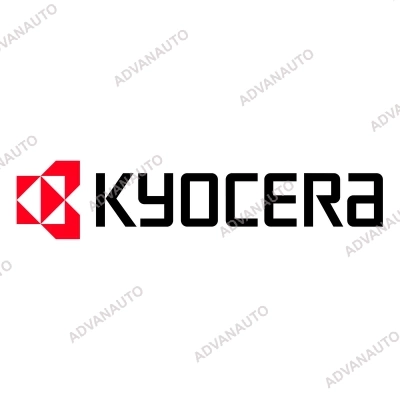Печатающая головка Kyocera KCE-53-12MPTI, 300 dpi фото 1
