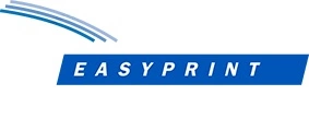 Печатающая головка принтера Easyprint (Domino) V300+,V400, CM5 (communicator V), TM5-350, TM5-440, TM5-580, IM5, 300 dpi фото 1