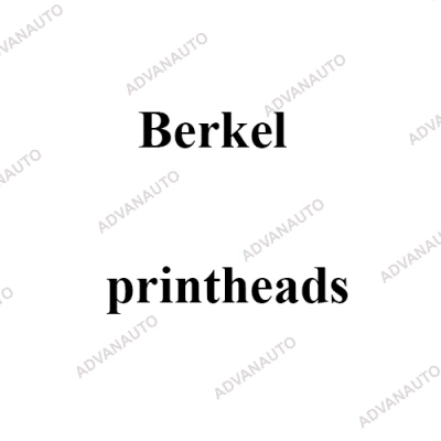 Печатающая головка принтера Berkel C15, C18, CX13, CX15, CX18, IX100, IX200, 80 dpi фото 1