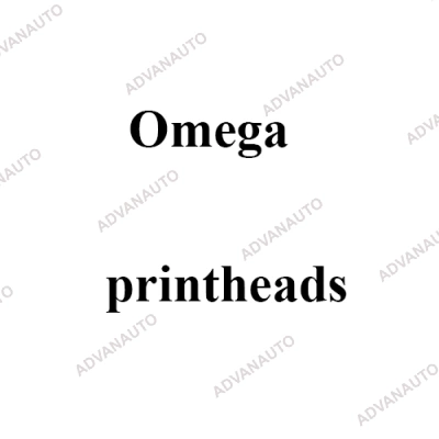 Печатающая головка принтера Omega POKER, Twin New, Vbr New, 200 dpi фото 1