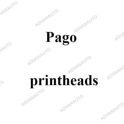 Печатающая головка принтера Pago 15/106T, 15/120E правый, 15/120G, 15/165T, 15/168E, 300 dpi фото 1