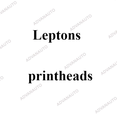 Печатающая головка принтера Leptons ST302, 200 dpi фото 1