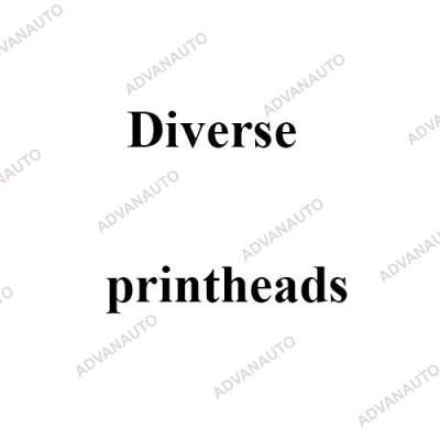 Печатающая головка принтера Diverse Giroprint E200 Roda Packing, 200 dpi фото 1