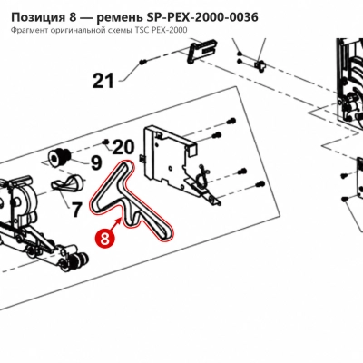 Ремень TSC PEX-2000 S2M, 10 × 544 мм (SP-PEX-2000-0036) фото 2