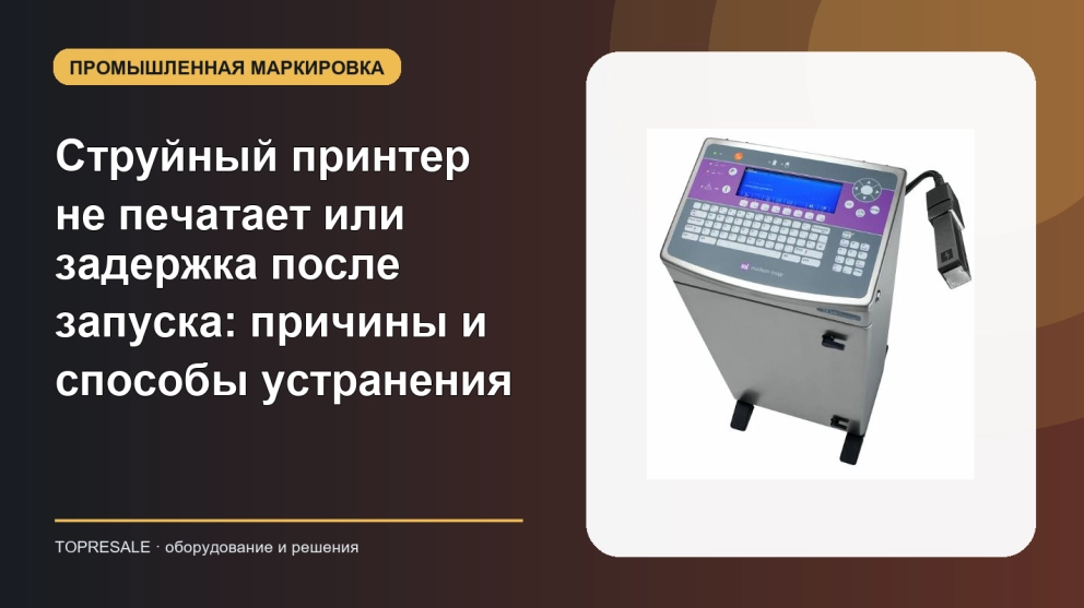 Струйный принтер не печатает или задержка после запуска: причины и способы устранения